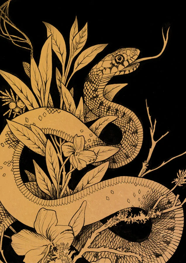 Sage_Cleansing2_Snake_La_Scarlatte_Illustration.jpg