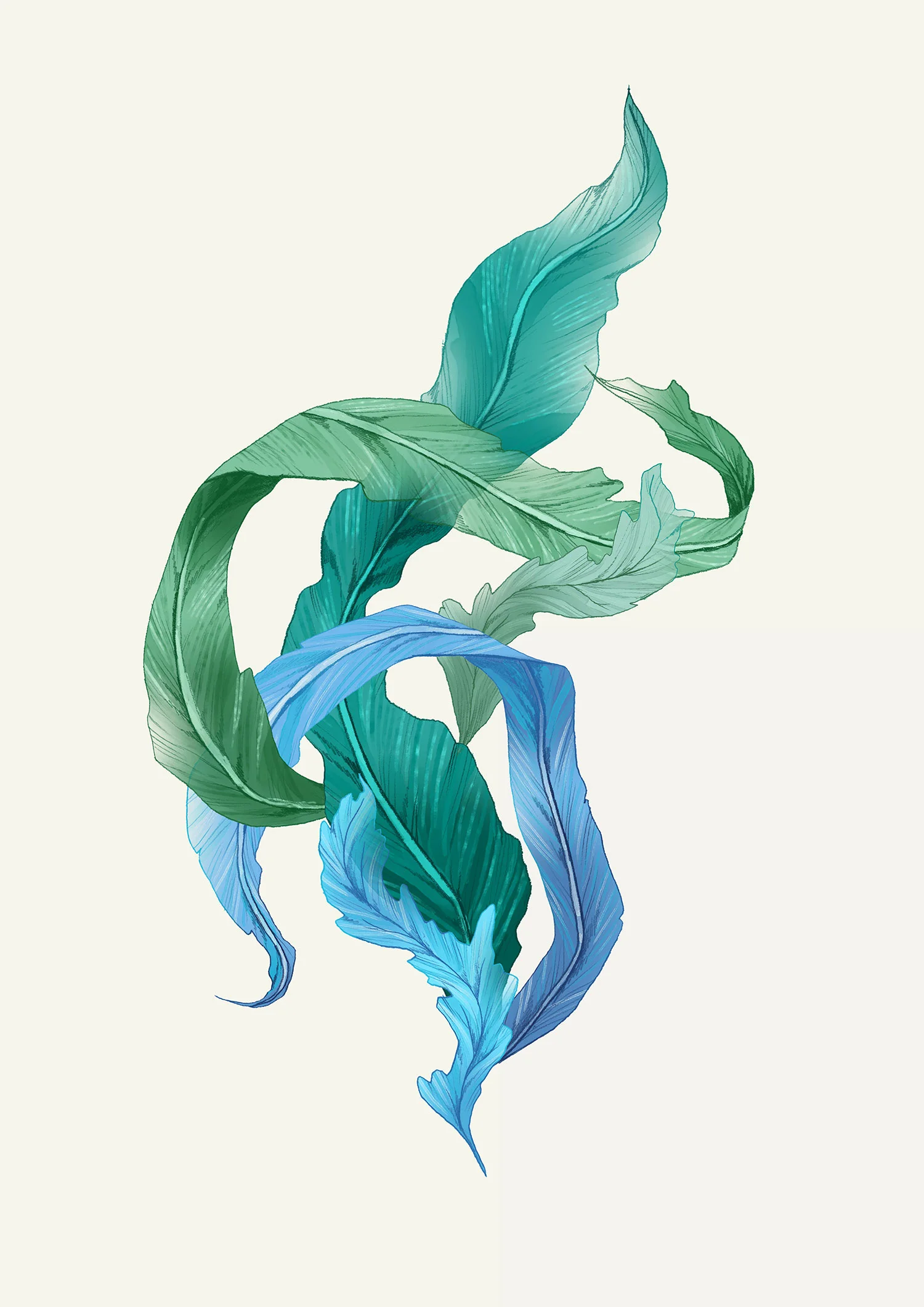 fig. 1. Coral element illustrations