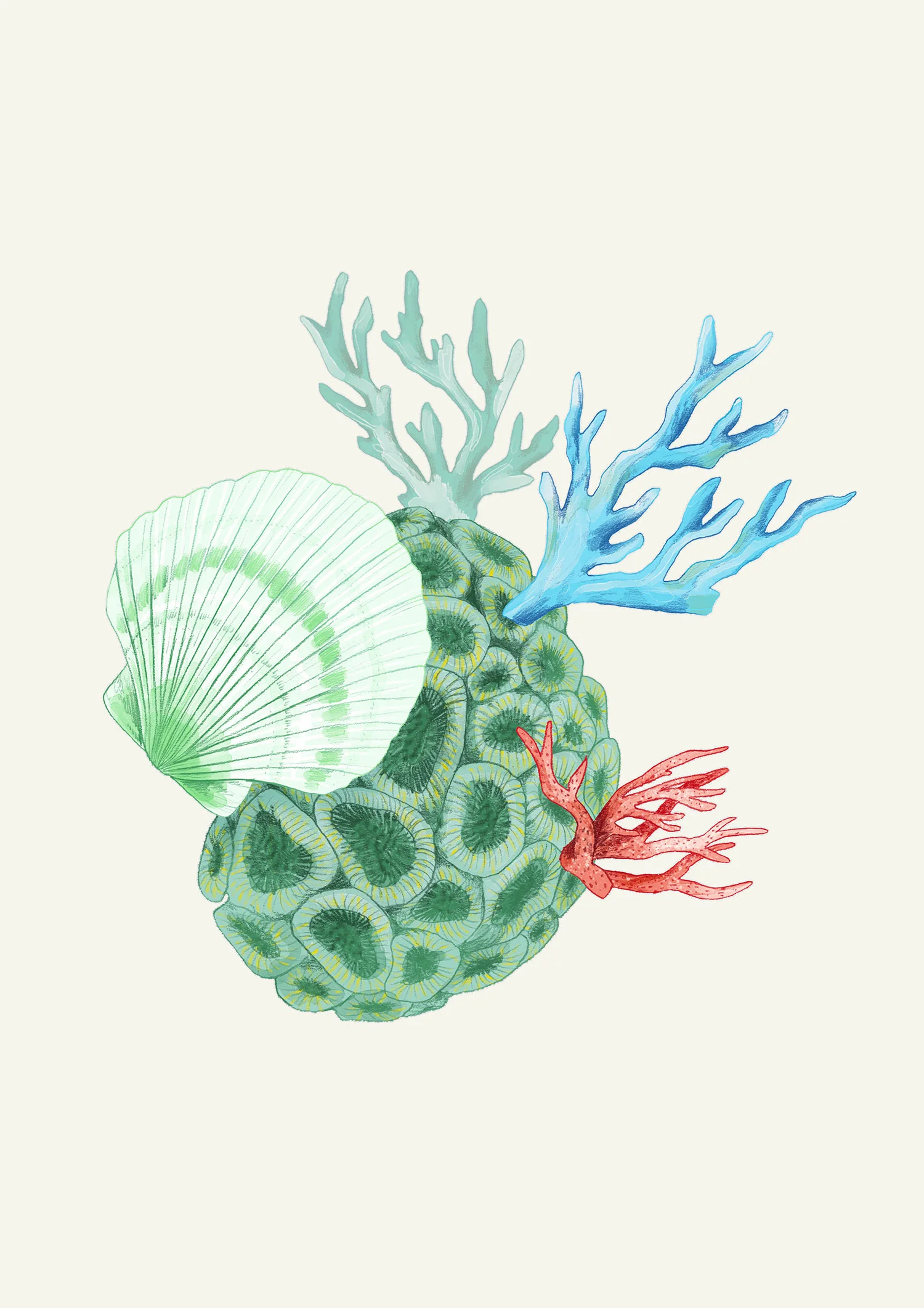 fig. 2. Coral element illustrations