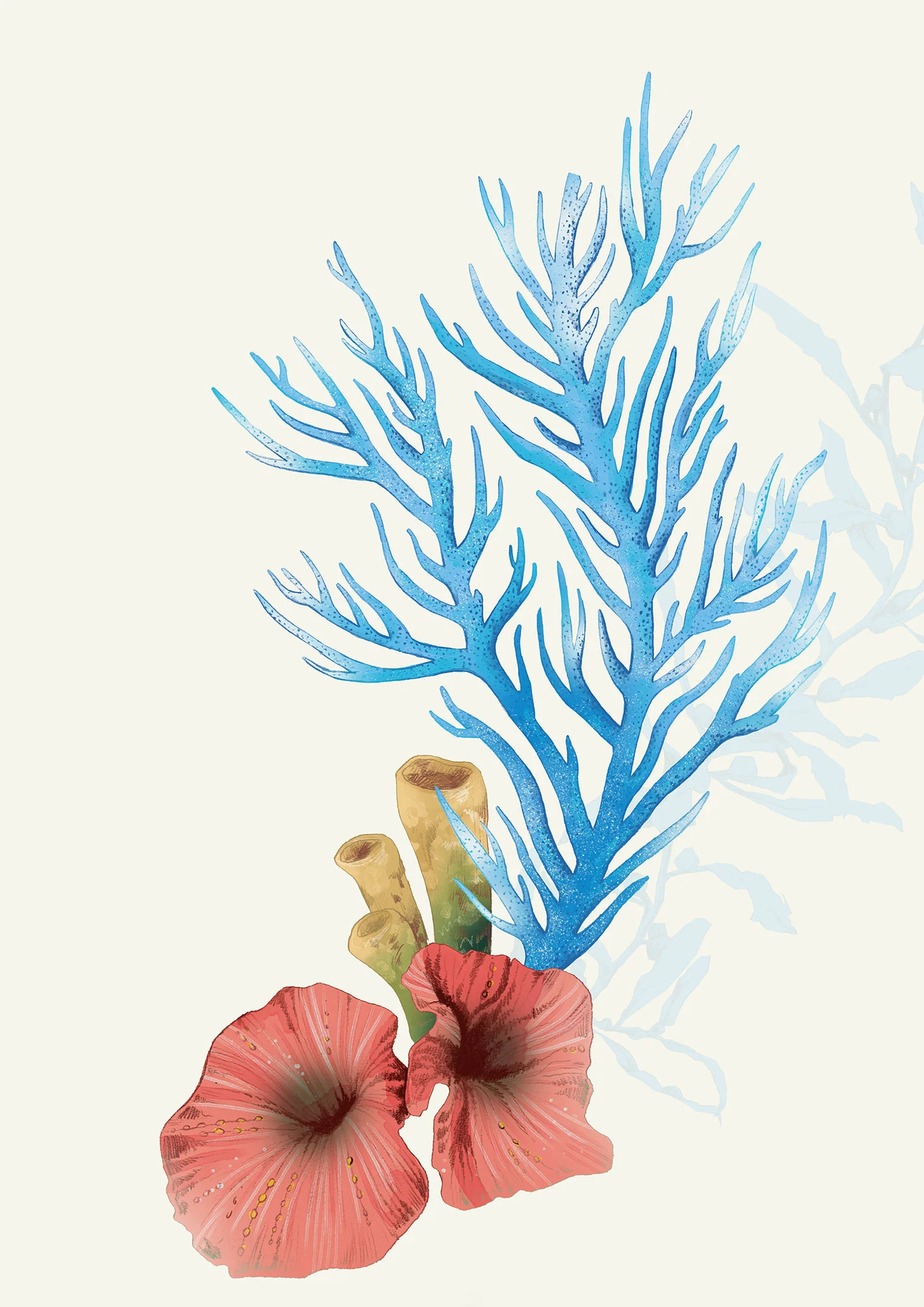 fig. 9. Corals element illustrations