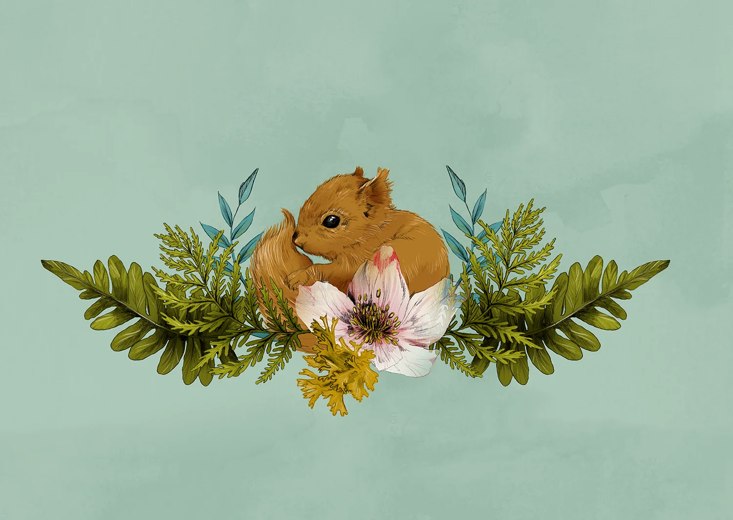 Fig. 2. A baby squirrel in ferns