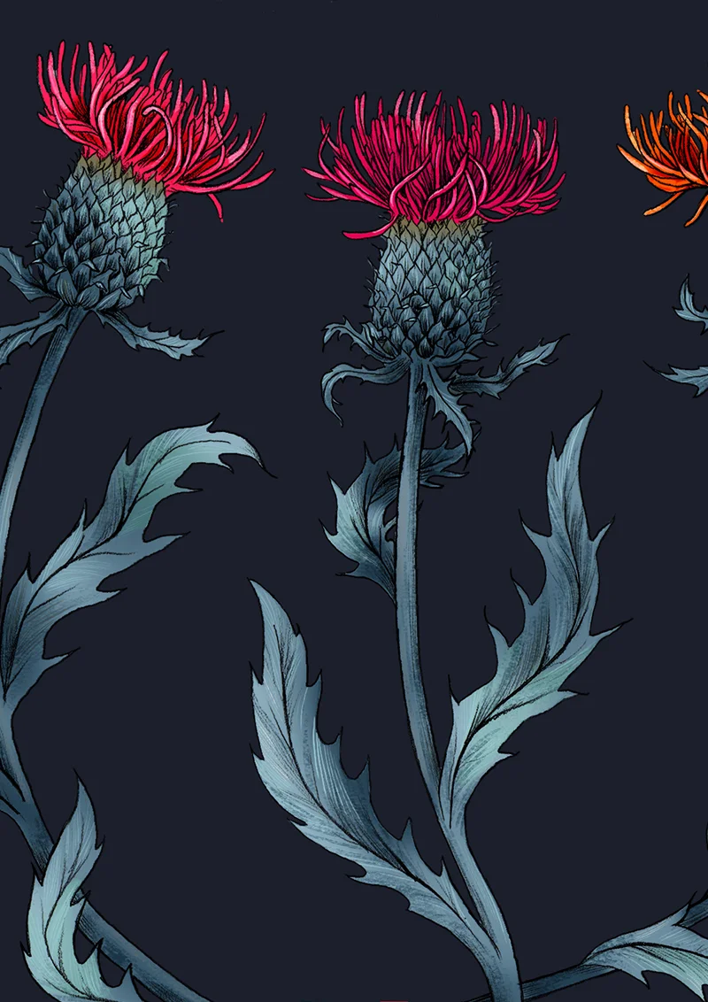 DeepestRoots_La_Scarlatte_Illustration.jpg