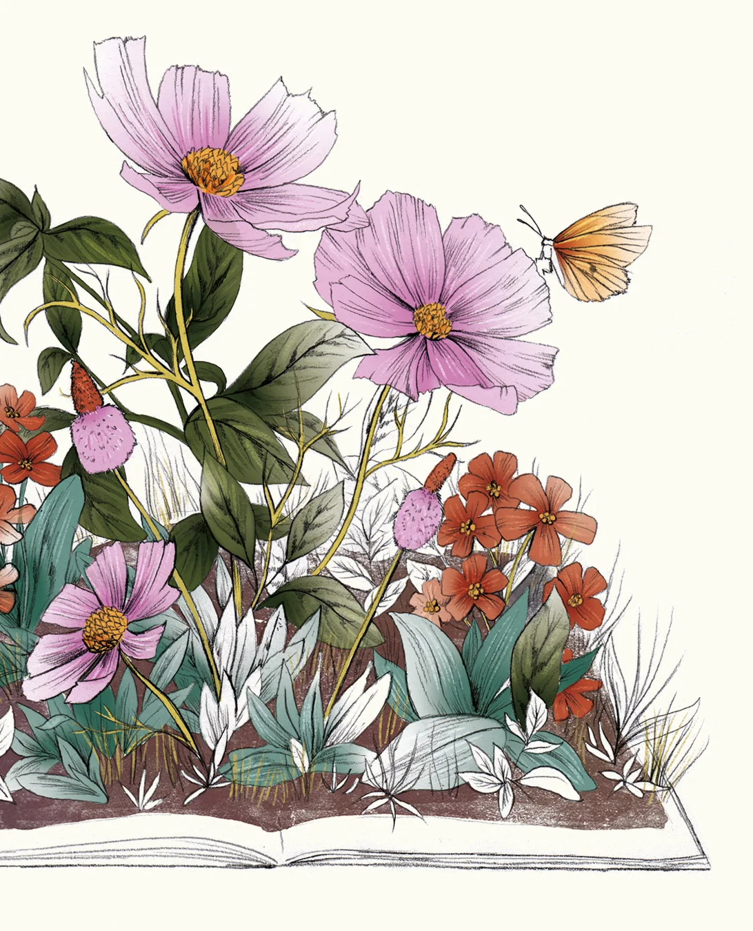 LASC_BetterHomesAndGardens_SeedCompanyRoundup_FinalArtwork.jpg