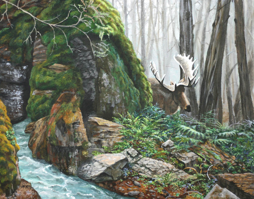 Glacier National Park.jpg