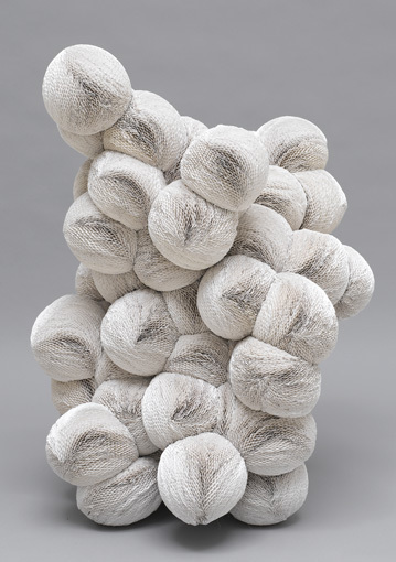 Tara Donovan, Untitled (Paper Plates) , 2006.