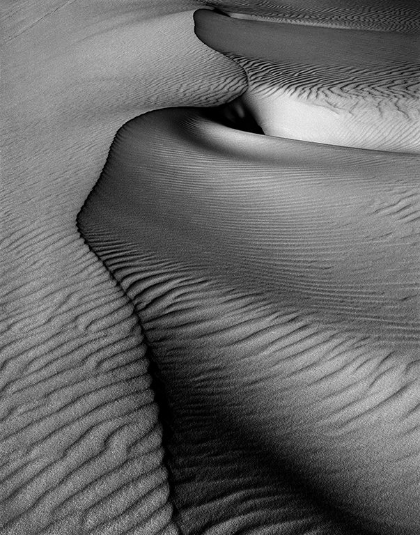  "Sand Dune, White Sands National Monument, New Mexico" // Richard Sprengeler // Photograph 