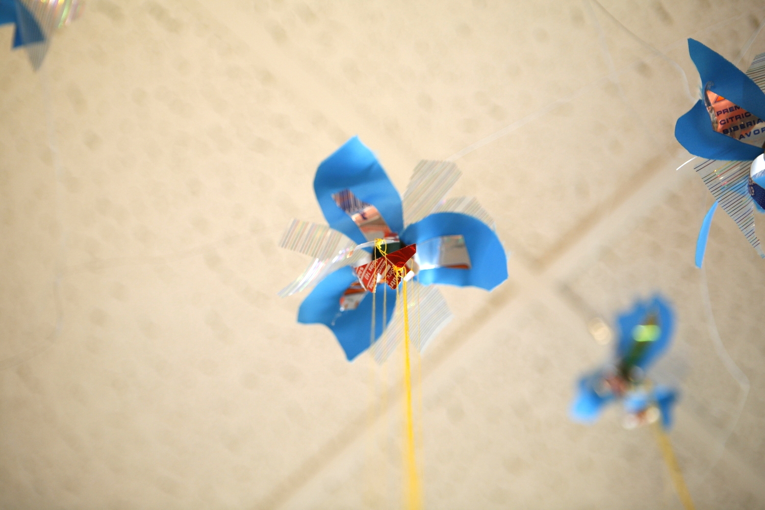 _MG_3007.JPG