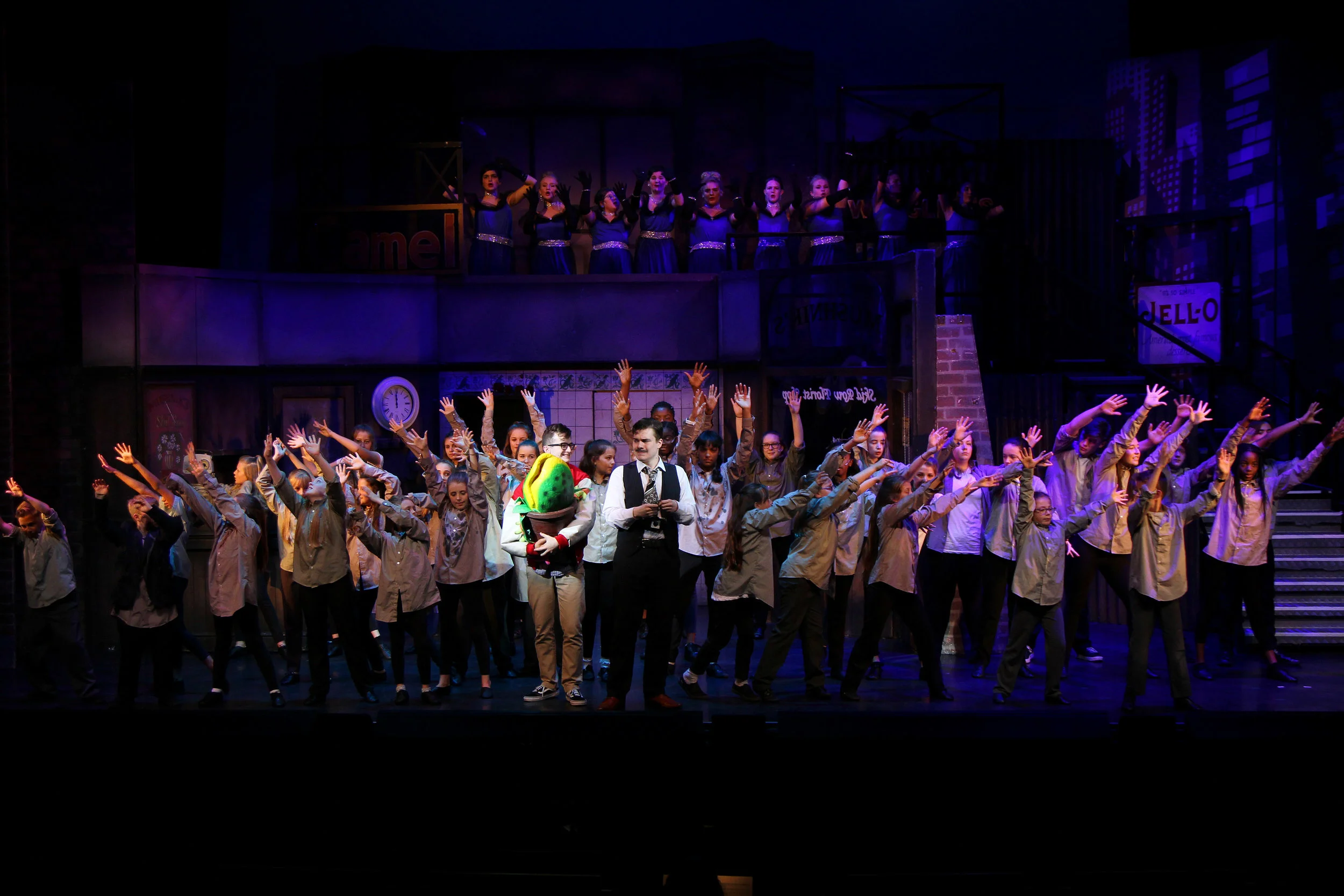 LITTLE_SHOP_OF_HORRORS_Orchard_Dartford_206.jpg