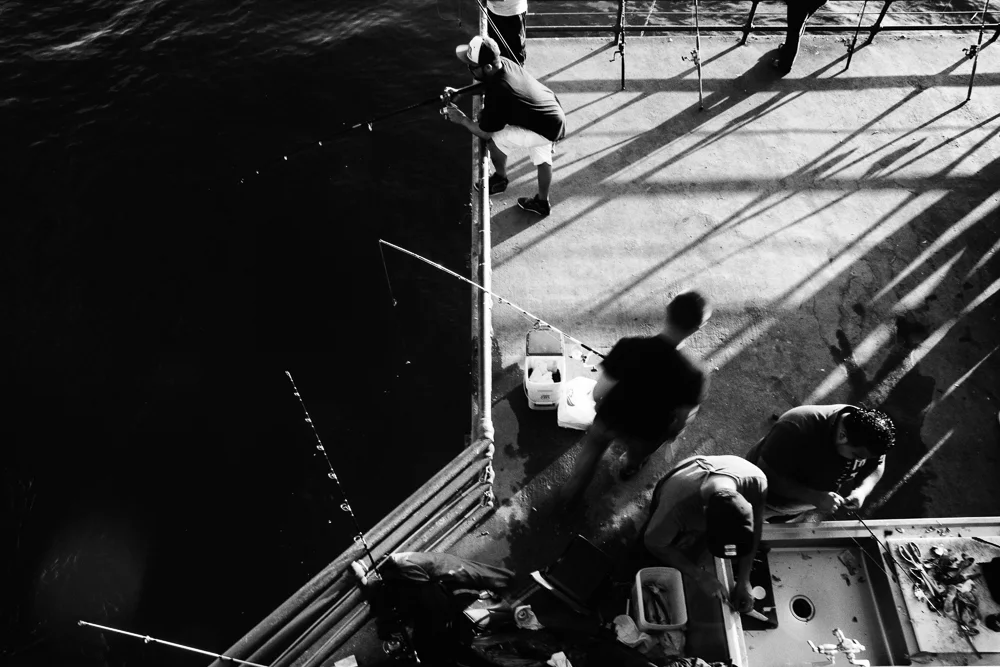 FineART_copyright 08 Aurélia Marine.jpg