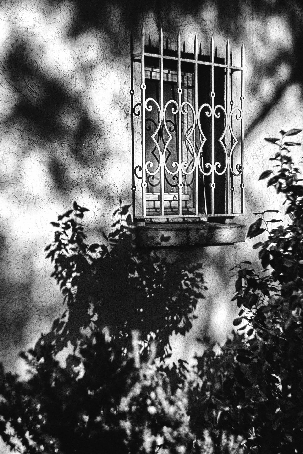 Pezenas.17_©Aurelia Marine_WebRes46.jpg