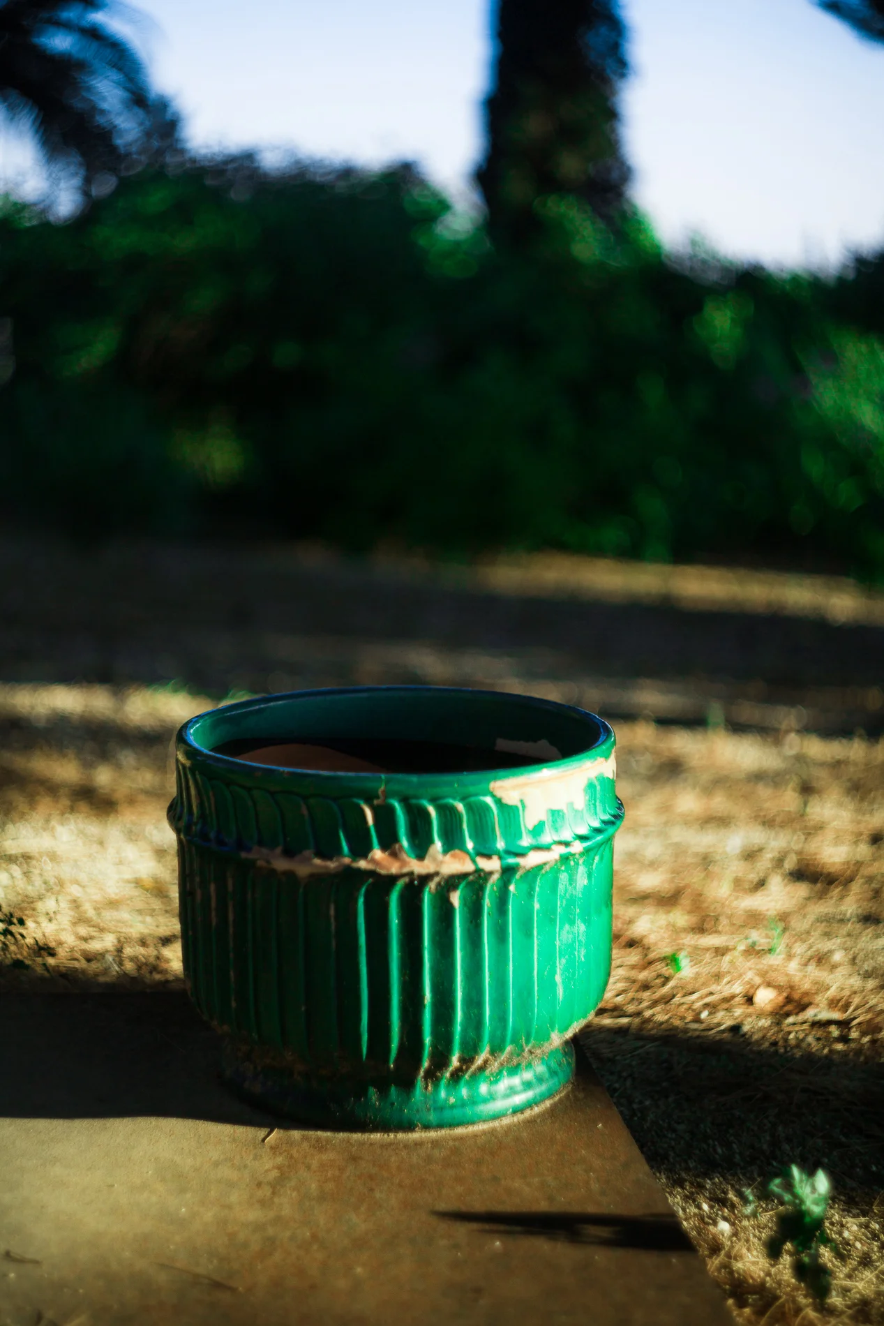 Pezenas.17_©Aurelia Marine_WebRes43.jpg