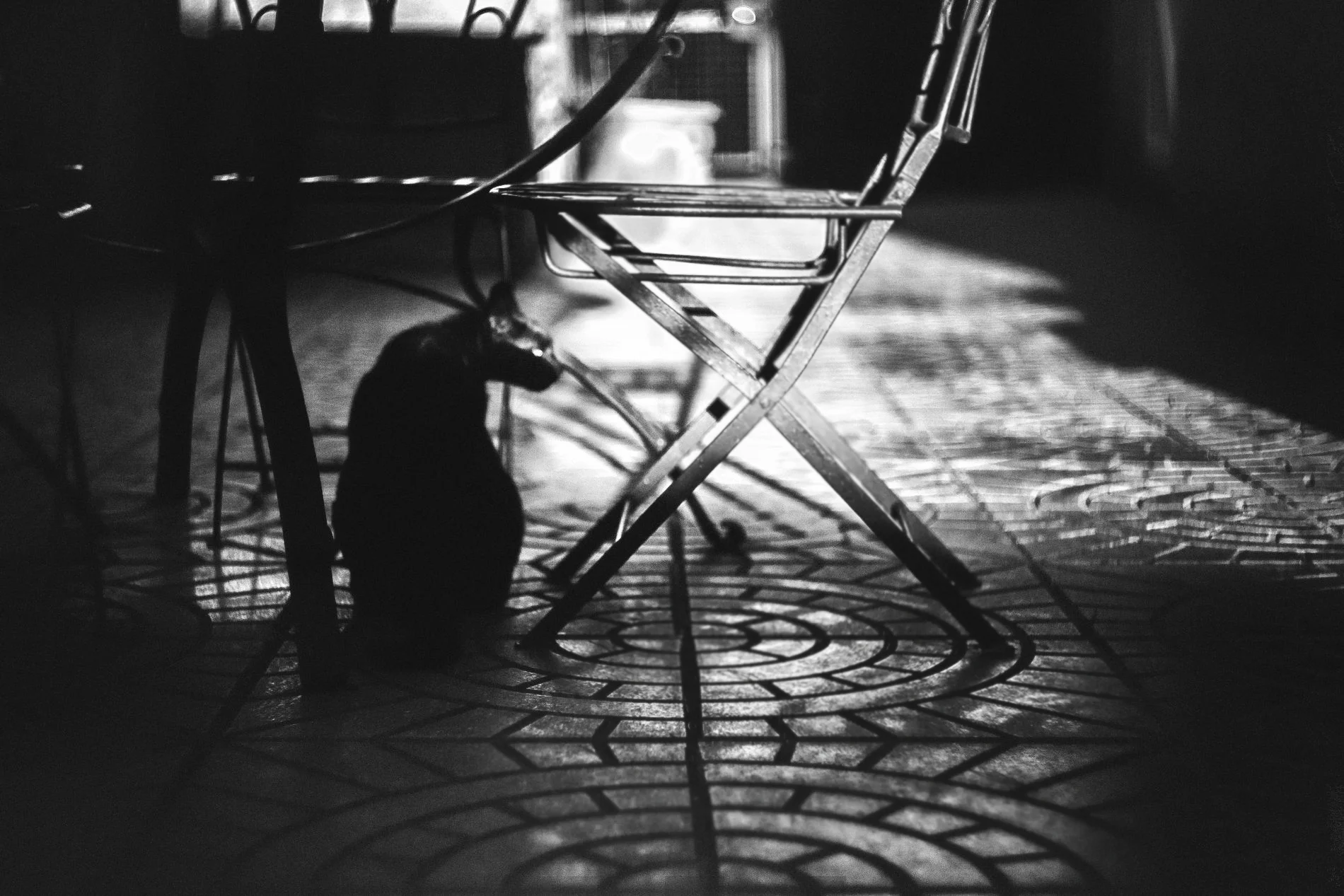 Pezenas.17_©Aurelia Marine_WebRes48.jpg
