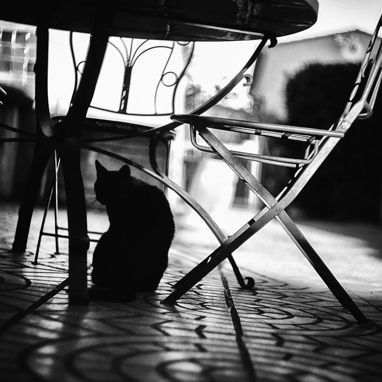 Pezenas.17_©Aurelia Marine_WebRes49.jpg