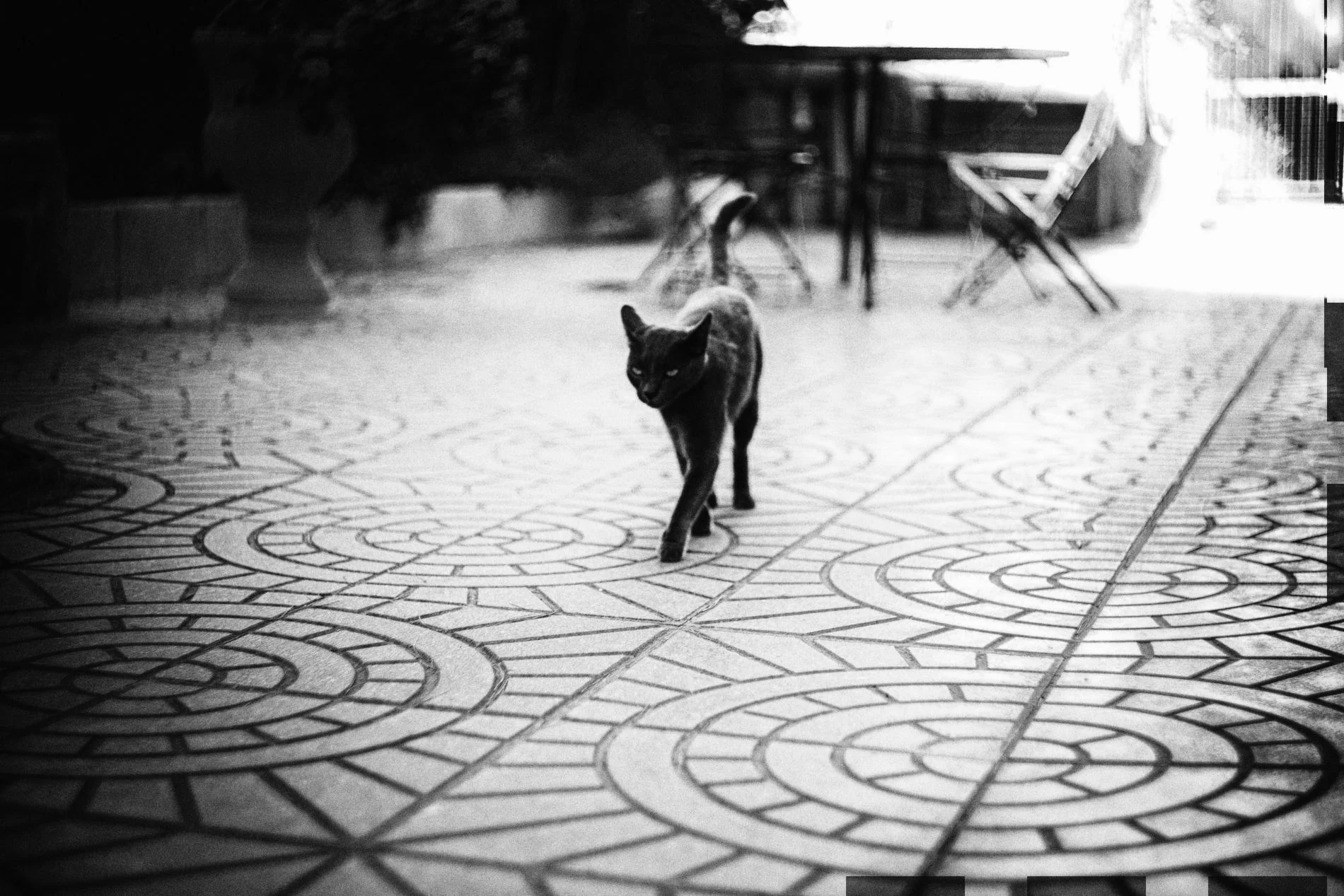 Pezenas.17_©Aurelia Marine_WebRes51.jpg