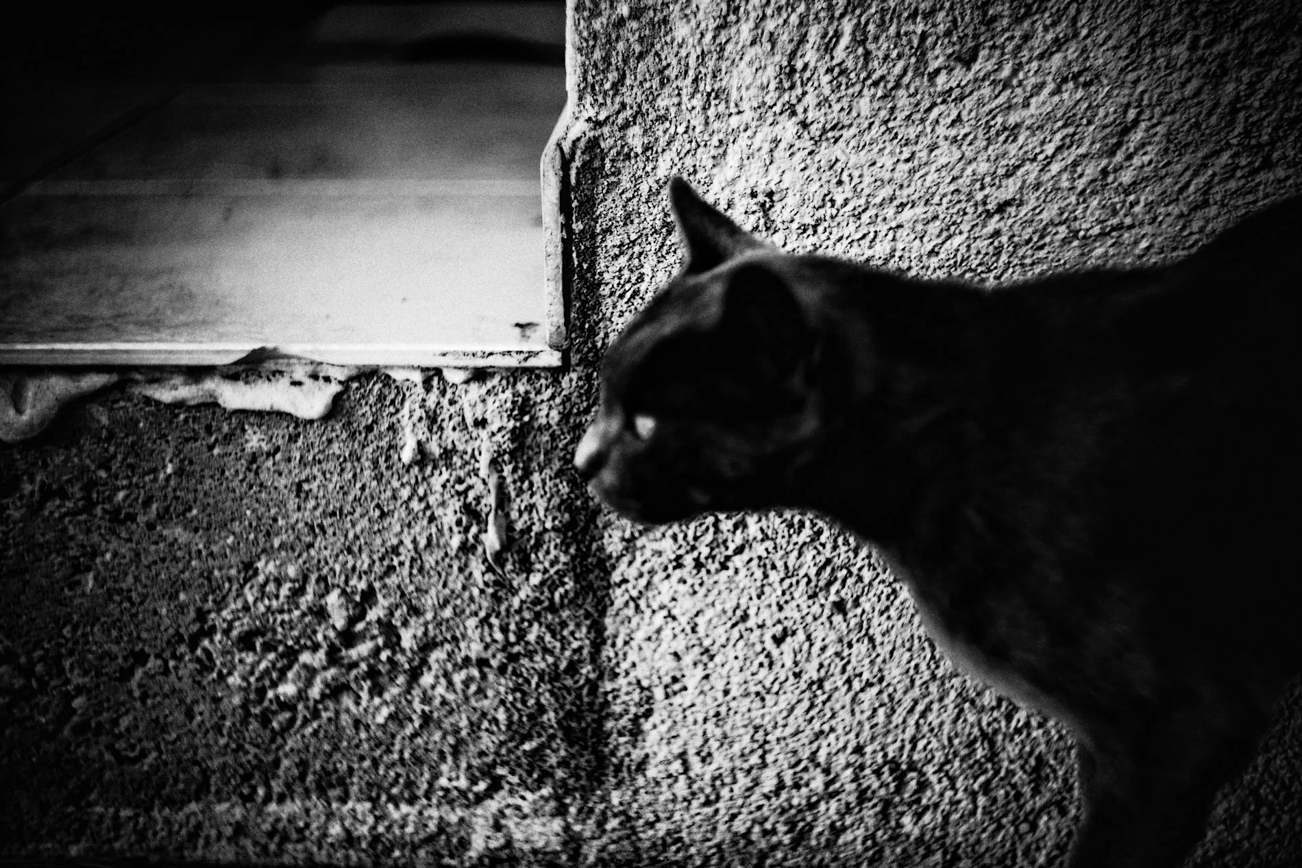 Pezenas.17_©Aurelia Marine_WebRes52.jpg
