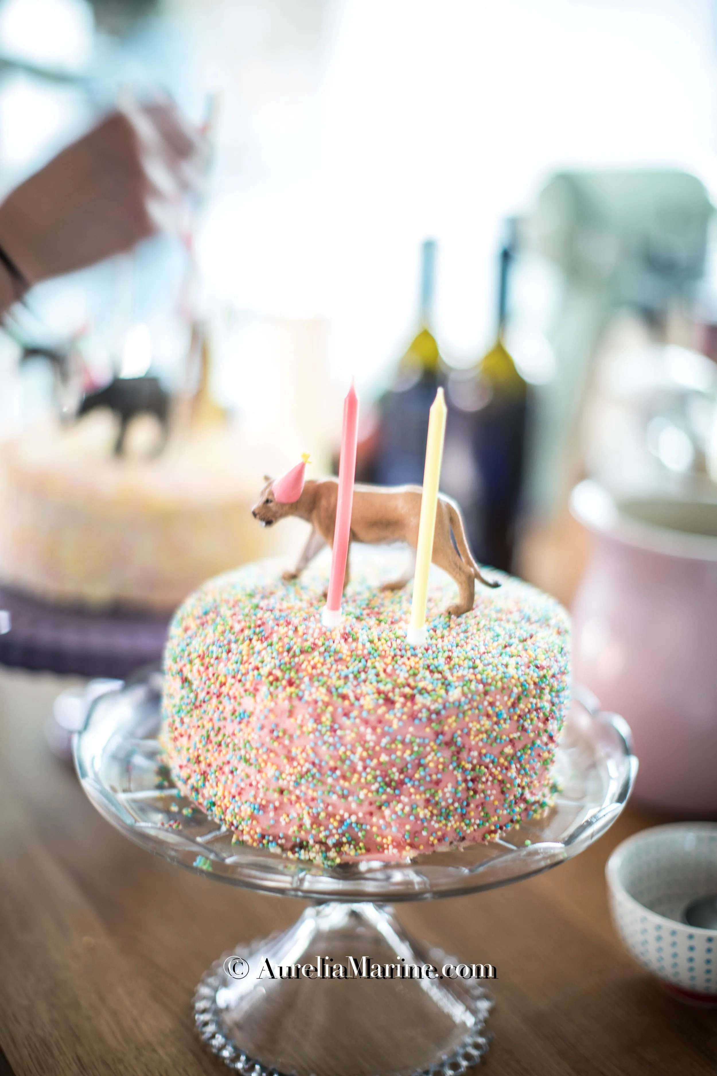 Lou Birthday 2018 © by Aurelia Marine-B47I7634.jpg