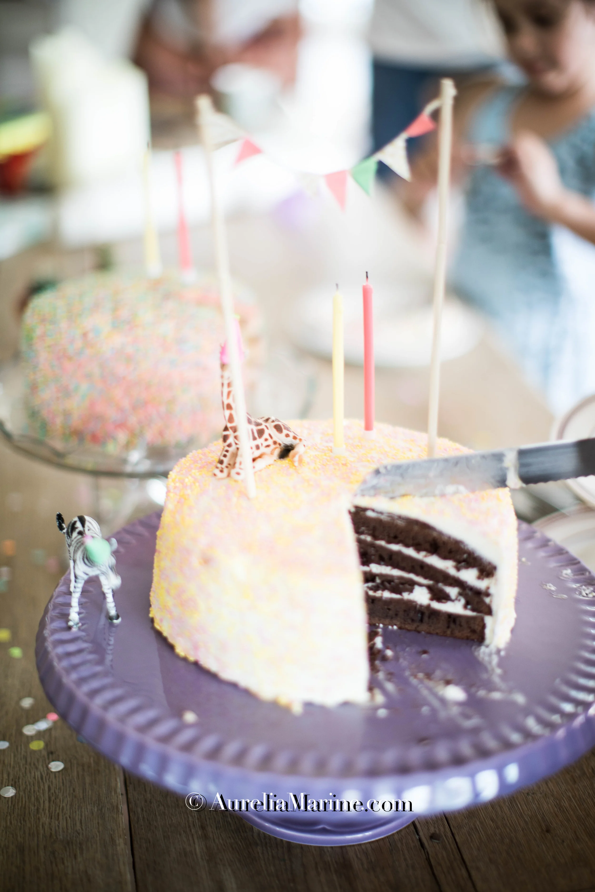 Lou Birthday 2018 © by Aurelia Marine-B47I7750.jpg
