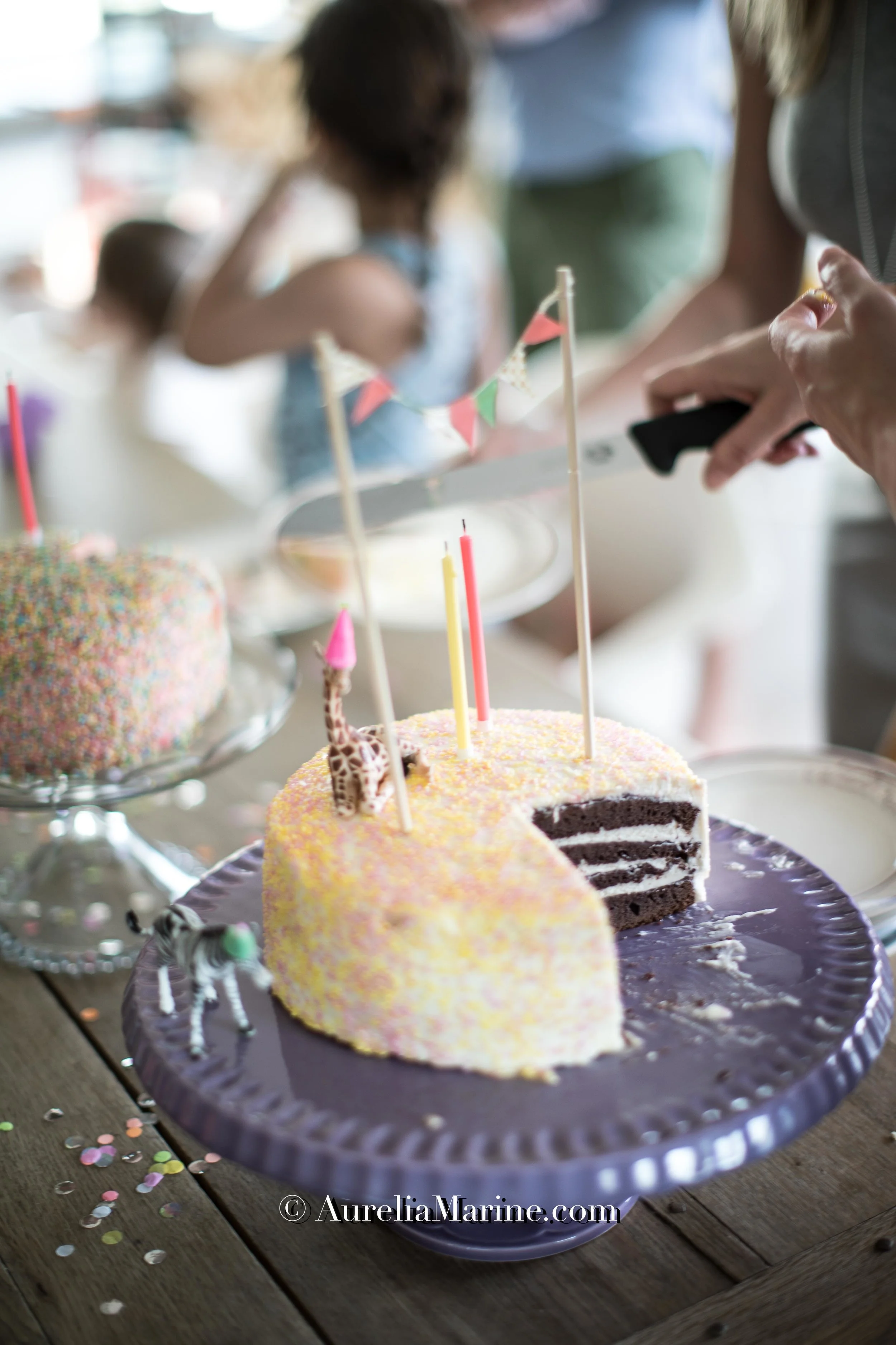 Lou Birthday 2018 © by Aurelia Marine-B47I7755.jpg