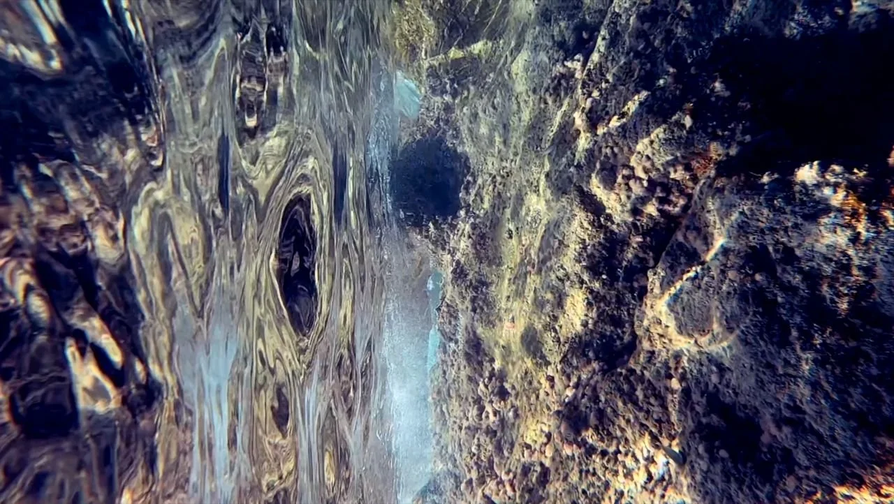 Still 5 — re:Human × orphic Morphosis