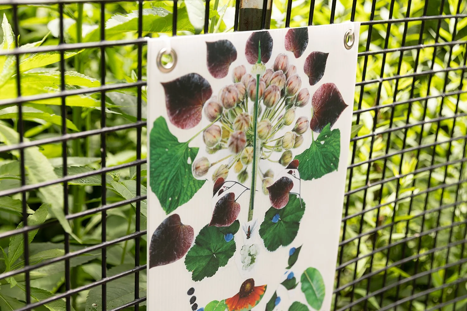 Laura Nova_ Facing Nature 24.jpg