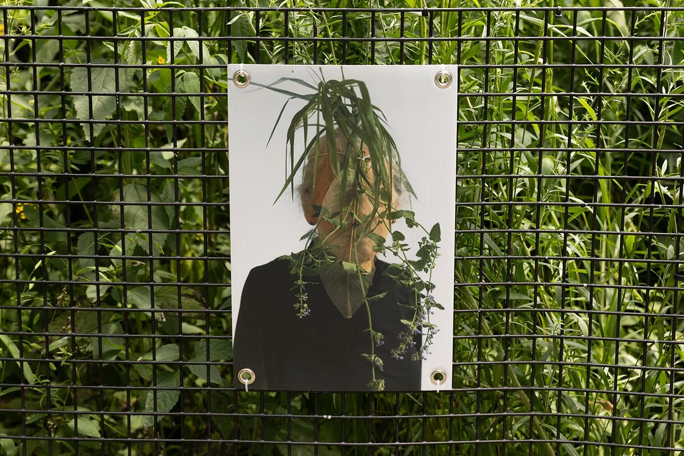 Laura Nova_Facing Nature08.jpg