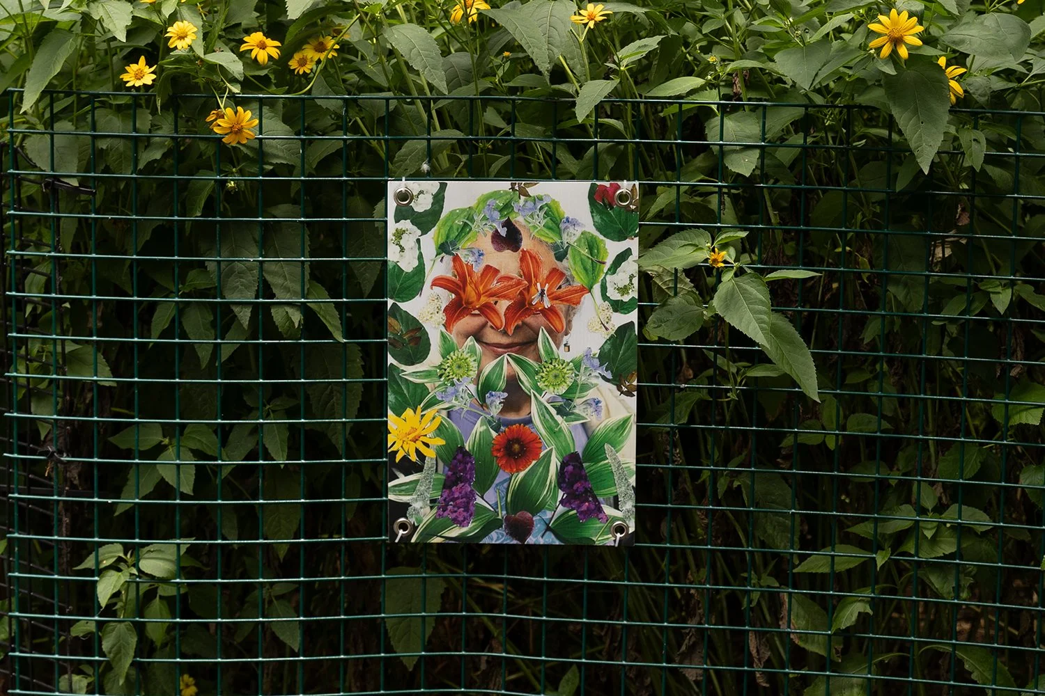 Laura Nova_ Facing Nature 25.jpg