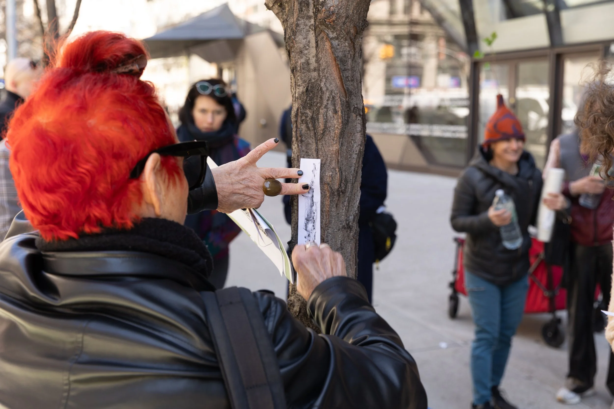 LauraNova_TreeSocial2.jpg