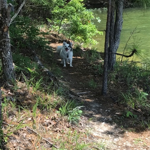 Smith Mountain Lake Martin, Alabama