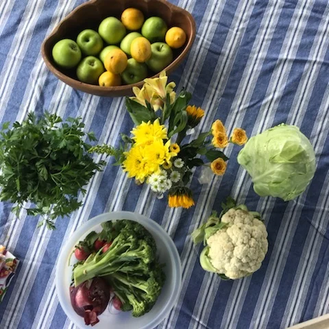 Spring Slaw (a recipe for all!)