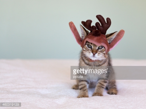 Photo by pyzata/iStock / Getty Images