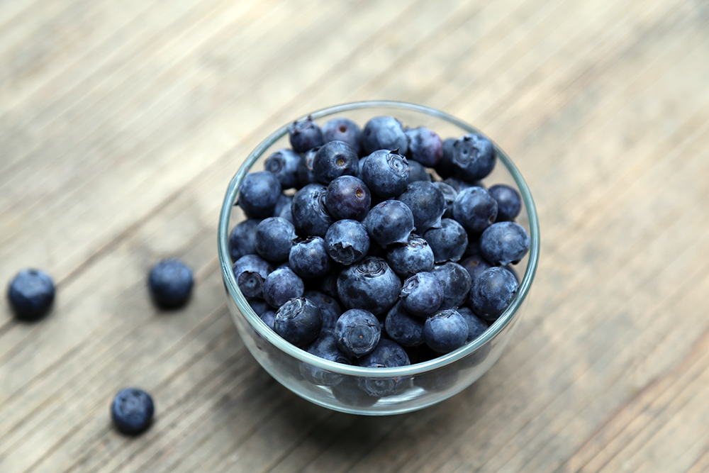 Blueberries — Nature's Partner