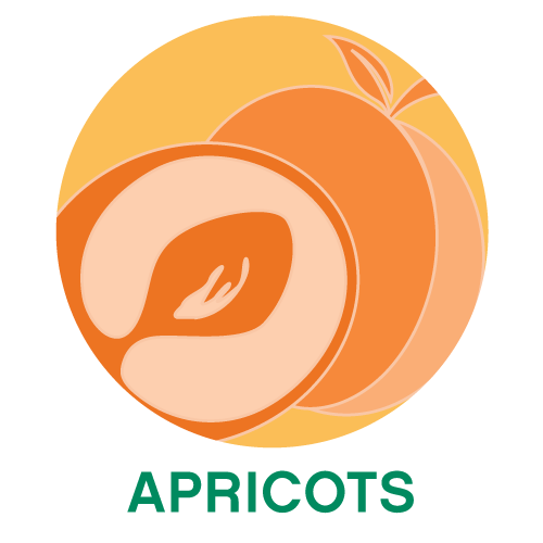 Apricots.png