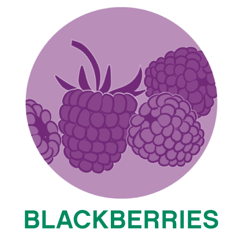 Blackberries.png
