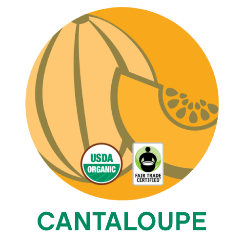 Cantaloupe.png