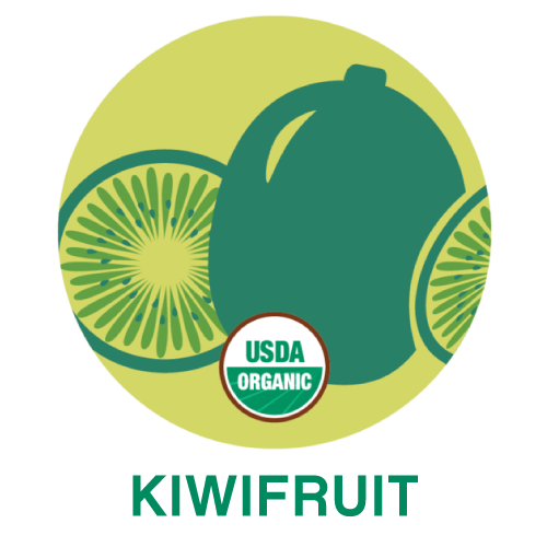 Kiwifruit.png