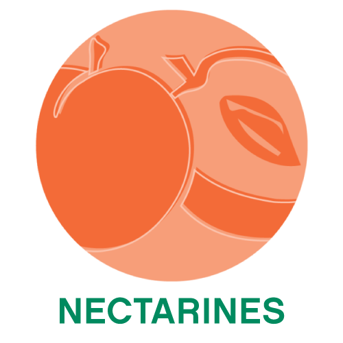 Nectarines.png