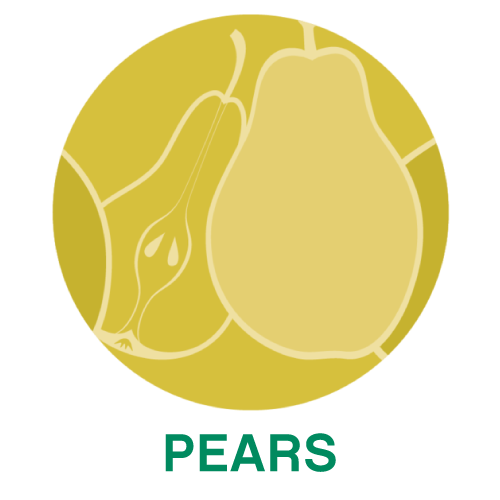 Pears.png