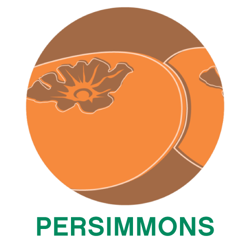 Persimmons.png