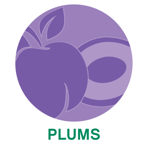 Plums.png