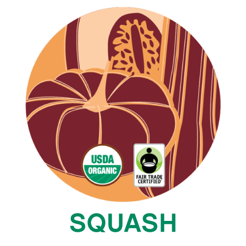 Squash.png