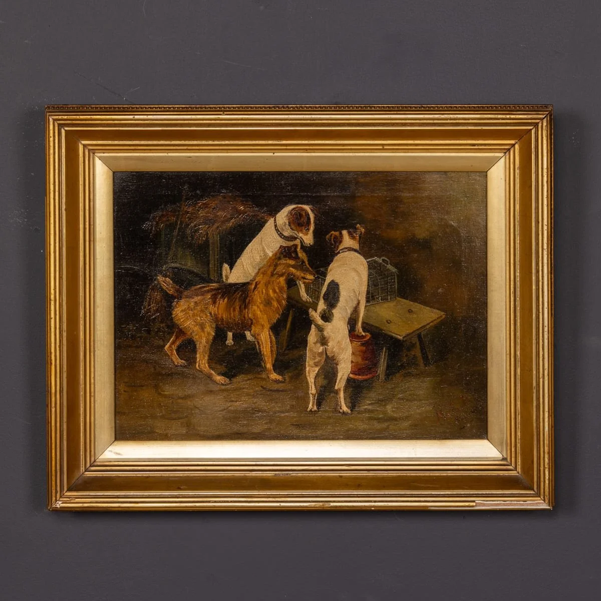 PUSHKINS.COM - Z12401 - ANTIQUE 20thC ENGLISH OIL ON CANVAS PAINTING OF TERRIER DOGS c.1917 - 03.jpg