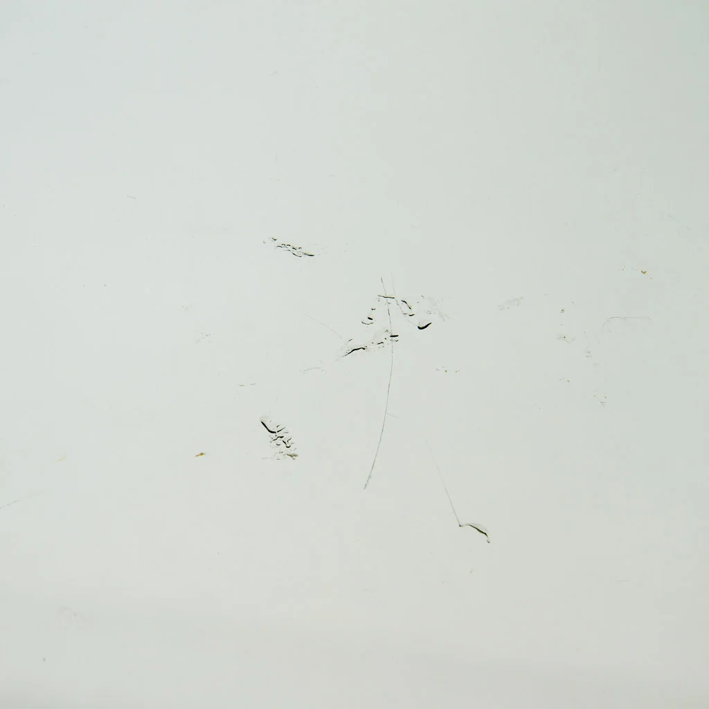 2015_07_07_31_0313-4487.jpg