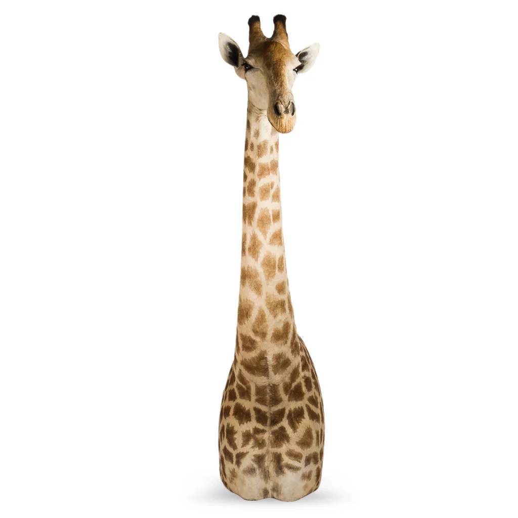 2016-01-11-taxidermy9_003-.jpg