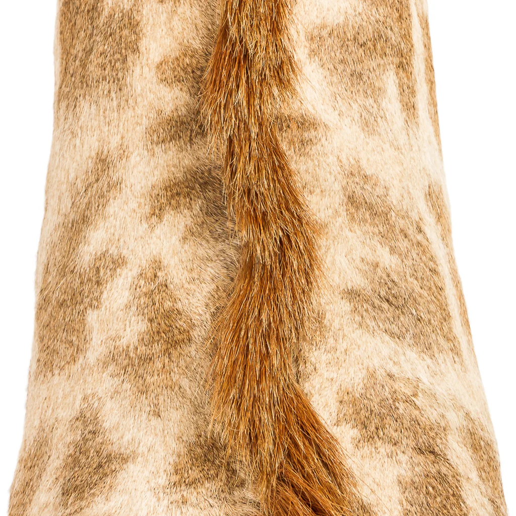 2016-01-11-taxidermy9_013-.jpg