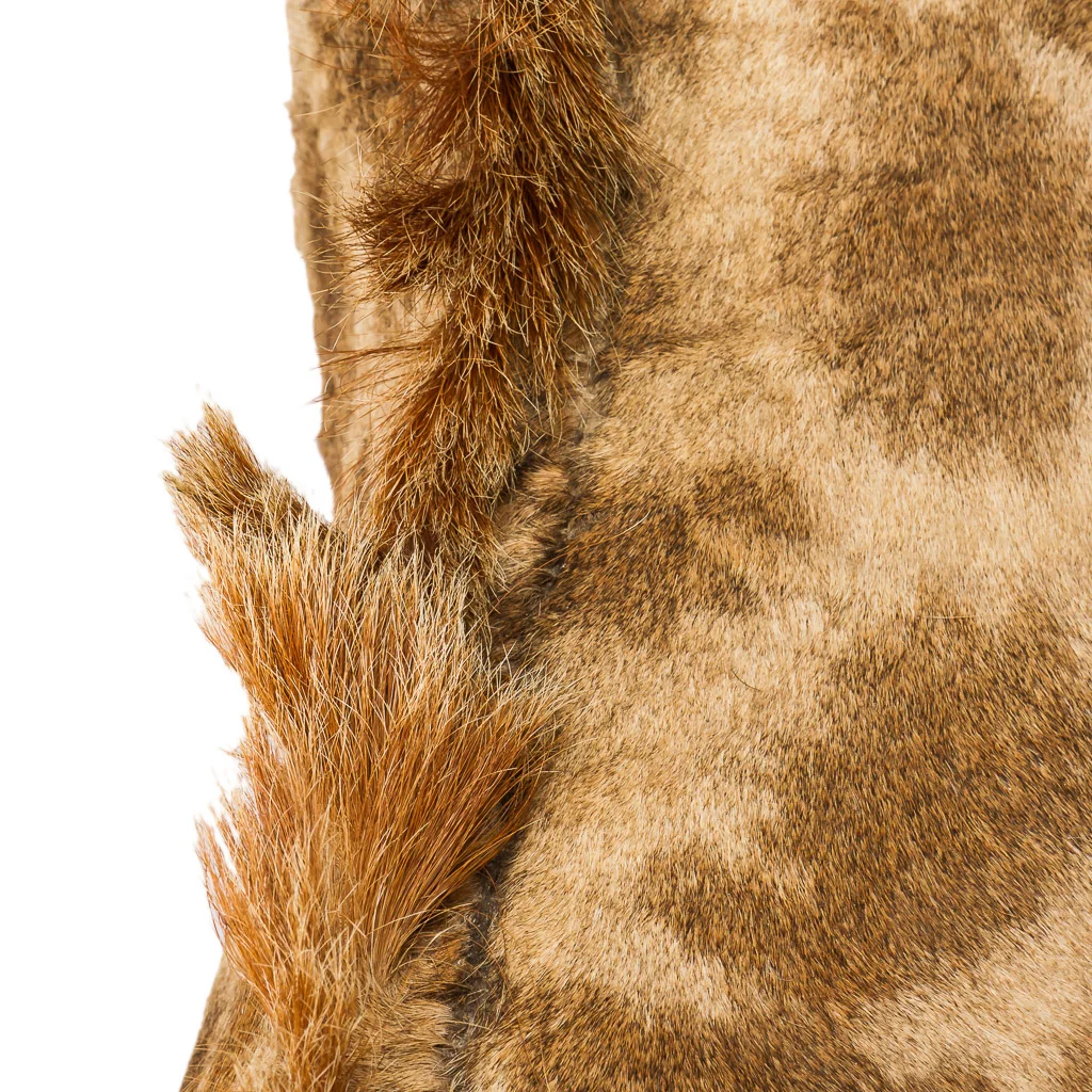 2016-01-11-taxidermy9_014-.jpg