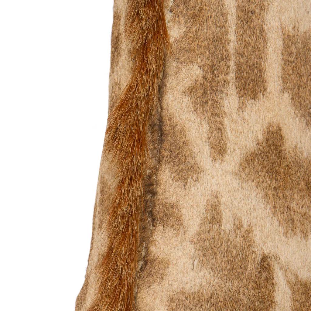 2016-01-11-taxidermy9_016-.jpg