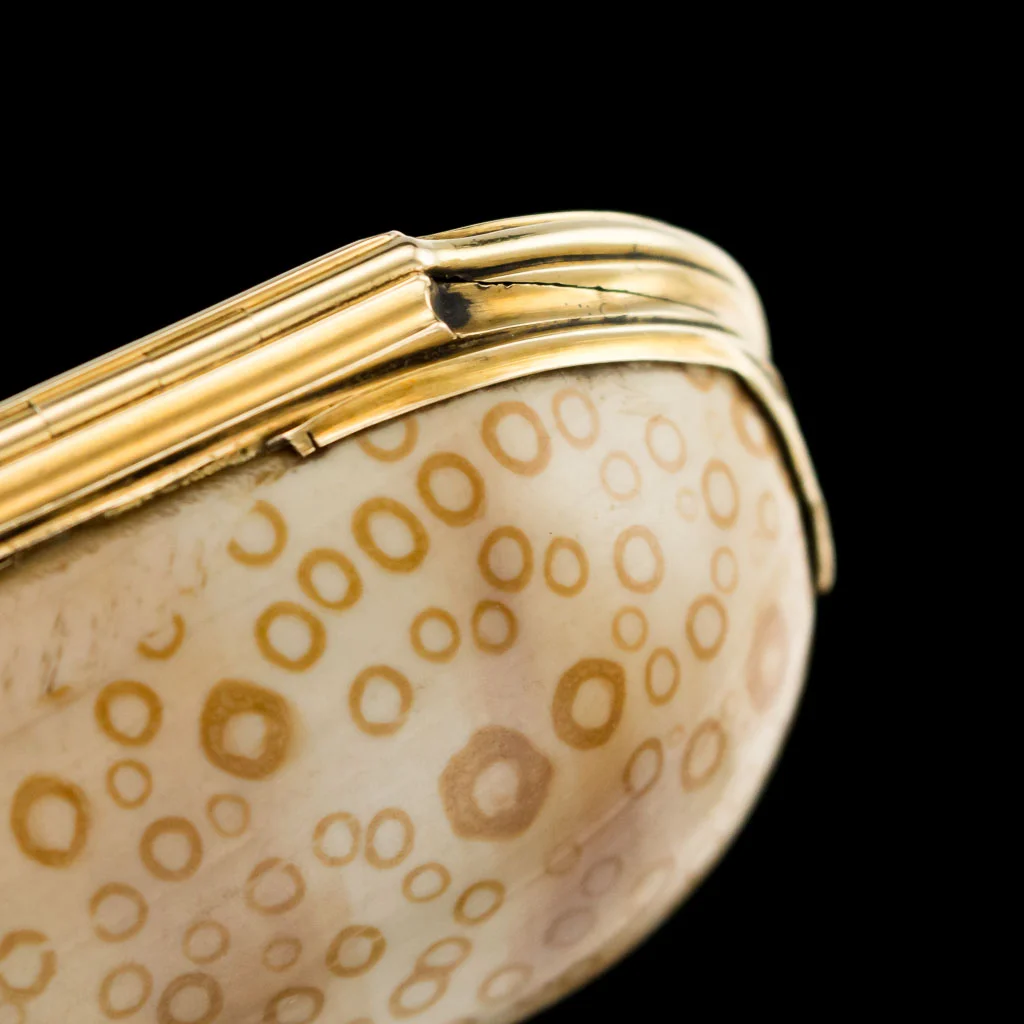 PUSHKIN ANTIQUES LONDON - ANTIQUE 18thC CONTINENTAL 18K GOLD-MOUNTED COWRY SHELL SNUFF BOX c.1780 - 17.jpg