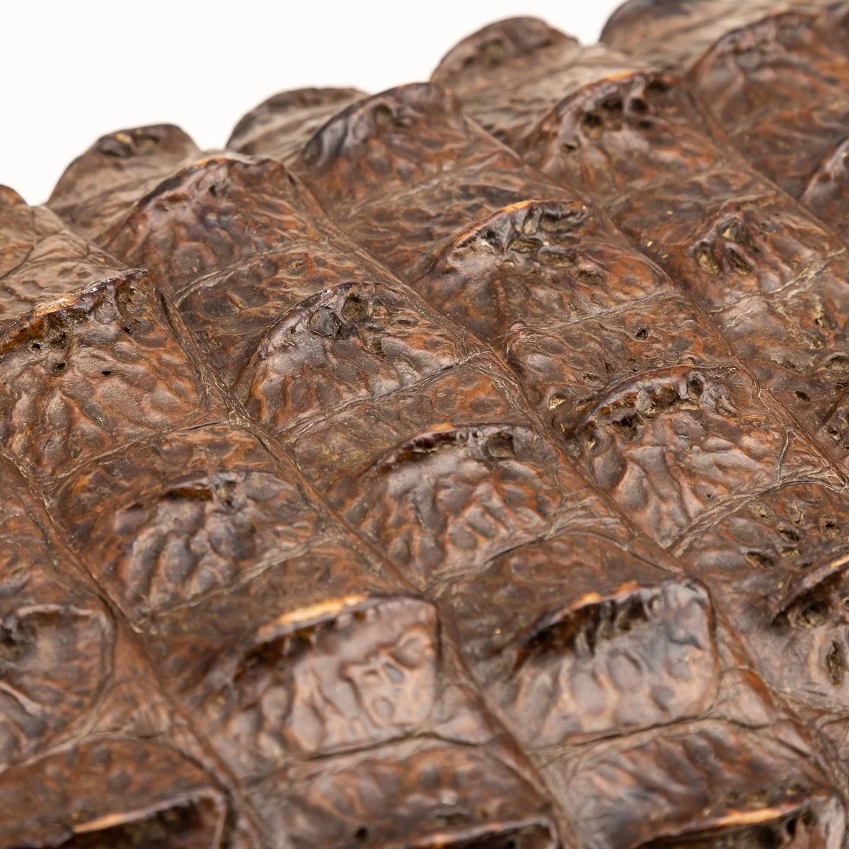 Pushkin Antiques - ANTIQUE 20thC ENGLISH CROCODILE LEATHER SUITCASE c.1910 - 16.jpg