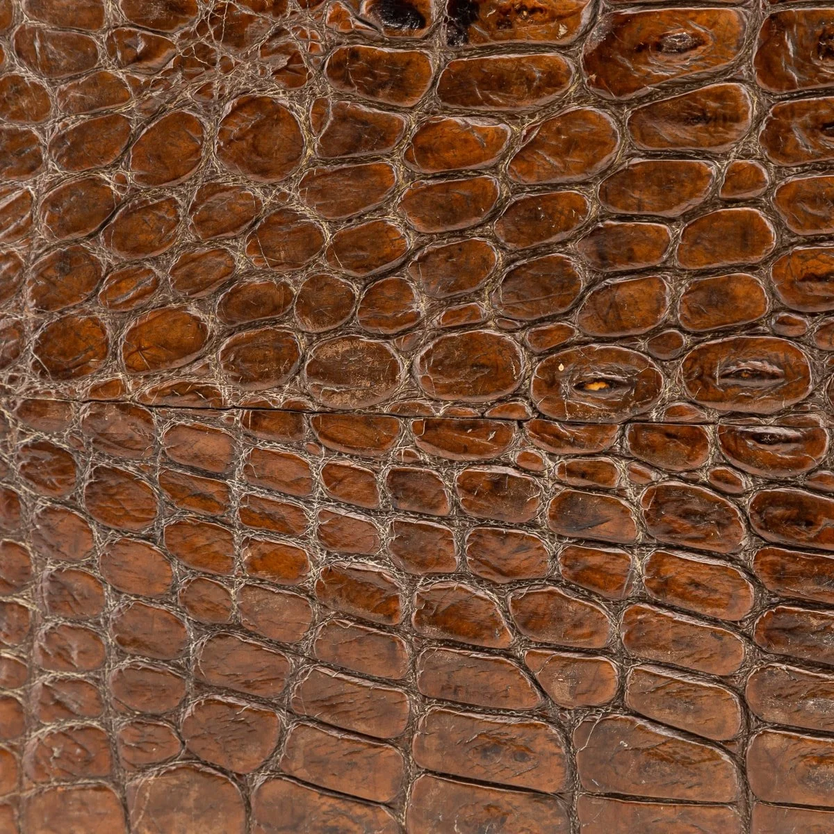 Pushkin Antiques - ANTIQUE 20thC ENGLISH CROCODILE LEATHER SUITCASE c.1910 - 25.jpg