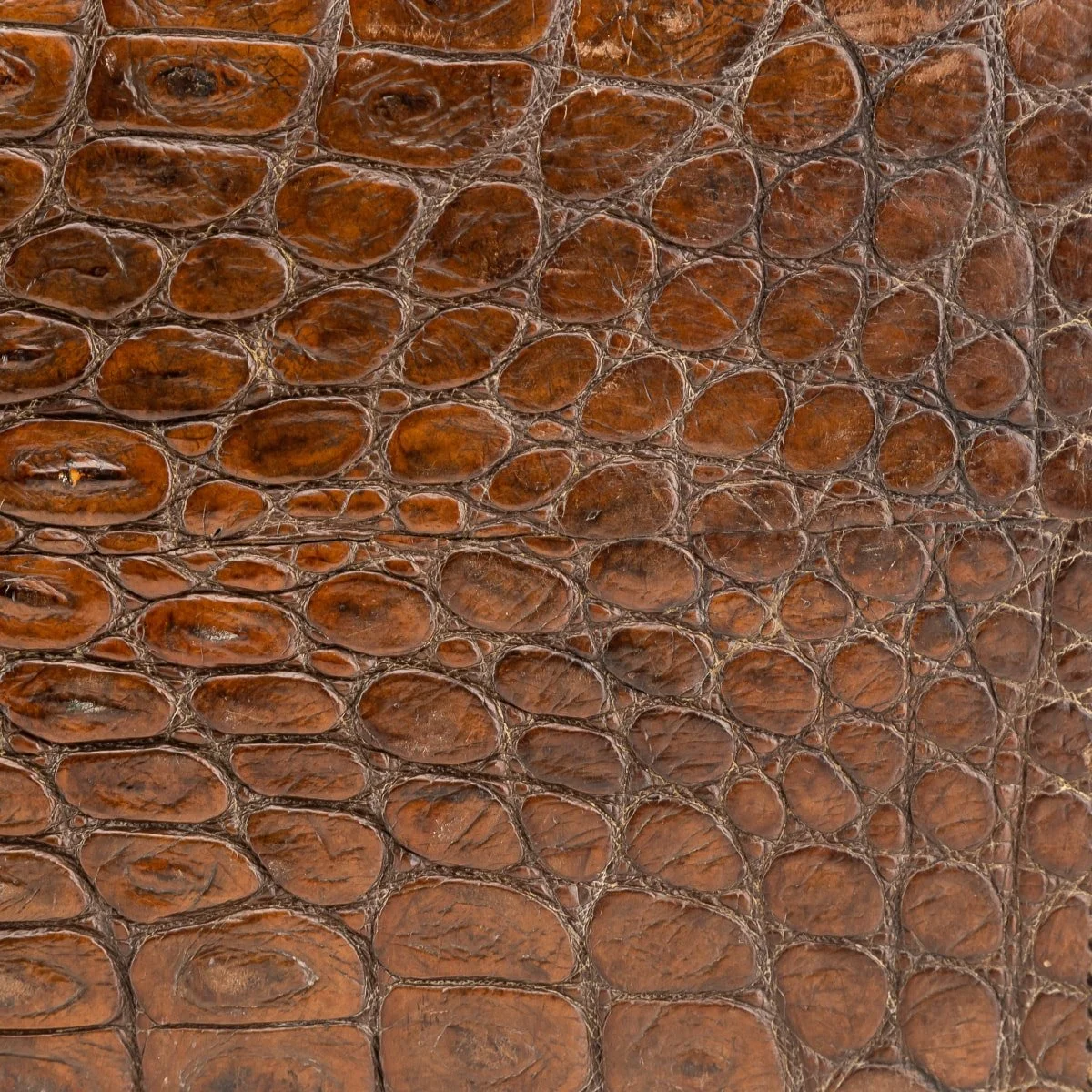 Pushkin Antiques - ANTIQUE 20thC ENGLISH CROCODILE LEATHER SUITCASE c.1910 - 26.jpg
